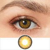 Radiance Brown Colored Contacts